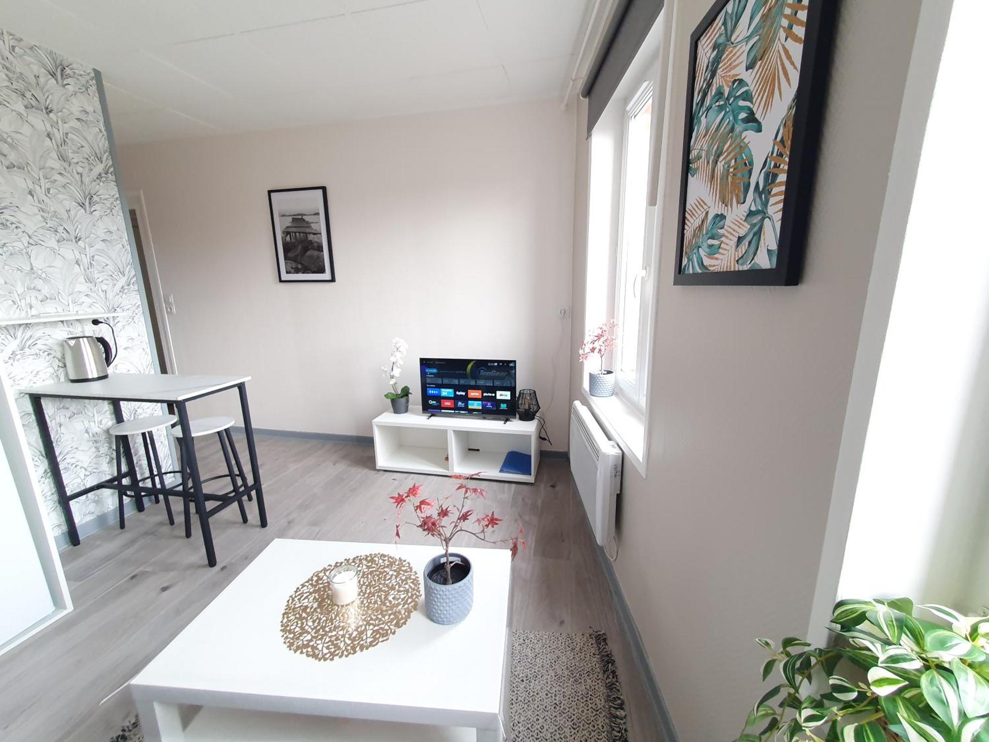 C5 Petit Deux Pieces Centre Apartment *